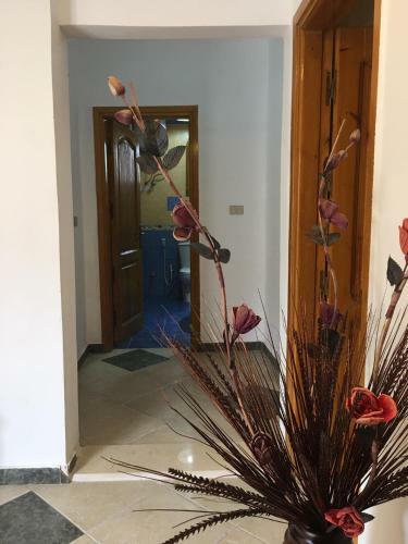 Dahab Home Bed&breakfast