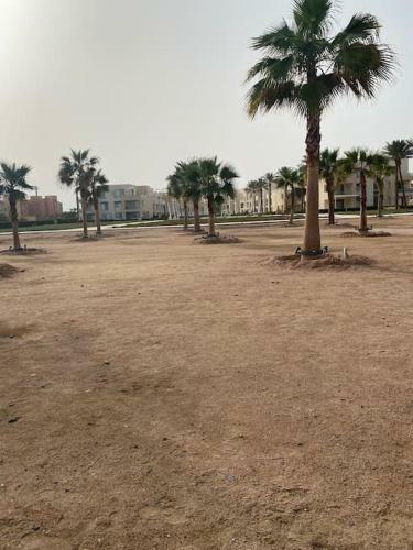 Elgouna , Mangroovy 1bedroom Apartment Second Floor