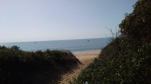 Moony?s Chalets & Camping