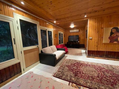 Modern Cabin