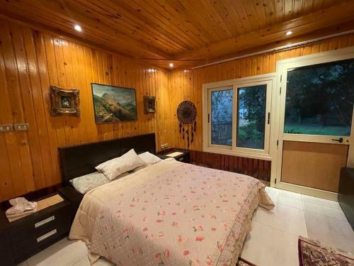 Modern Cabin