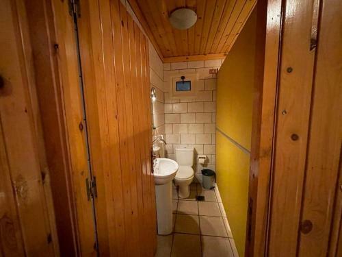 Modern Cabin