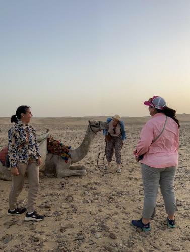 Hostal Pyramids Top Success Result