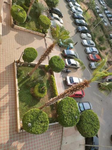Apartment In Milsa City Stars