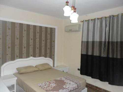 Apartment In Milsa 8, Nasr City