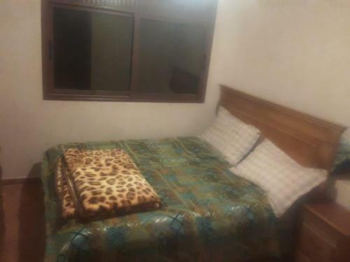 Apartamento Shtotl