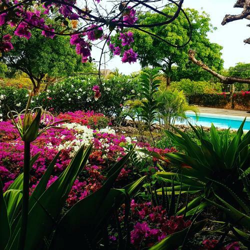 Villa Deluso Tre Fiori