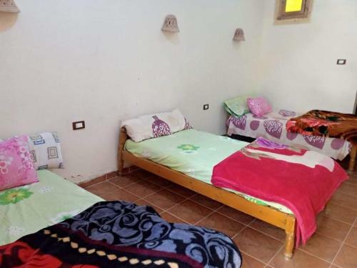 Apartamento Palm Trees Hotel
