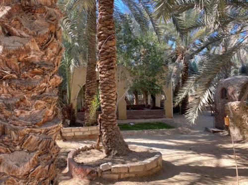 Apartamento Palm Trees Hotel