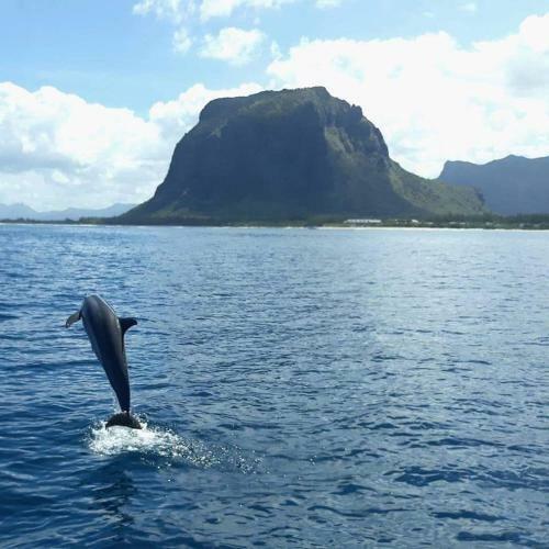 Apartamento Lukshvilla Kite/wind Surf Accomodation Mauritius