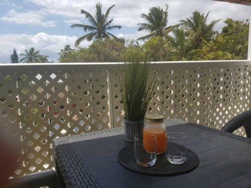 Apartamento Superbe Studio Avec Varangue � 150 M De La Plage � La Saline Les Bains