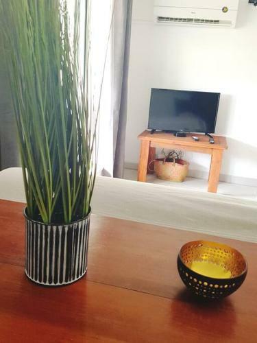 Apartamento Superbe Studio Avec Varangue � 150 M De La Plage � La Saline Les Bains