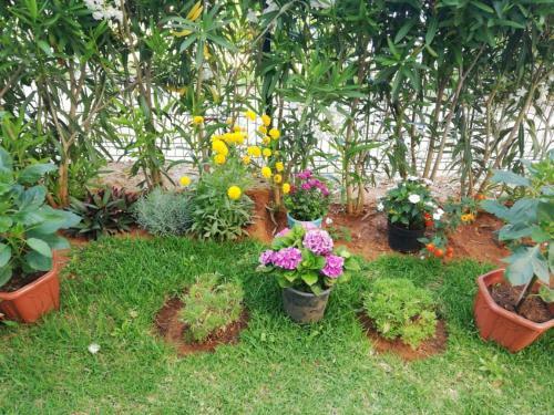 Apartamento Vacances D'�t� De R�ve