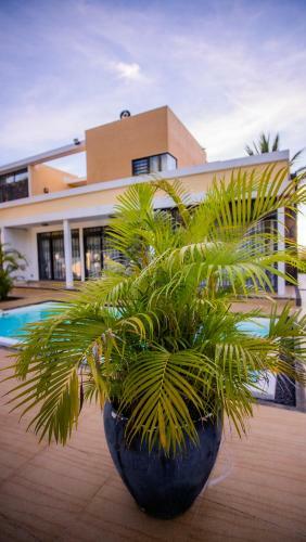 Villa Simone: Sunlit Beach Getaway W/ Pool + Wifi