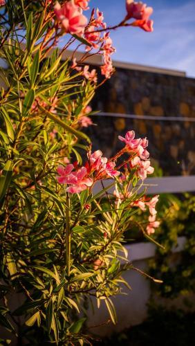 Villa Simone: Sunlit Beach Getaway W/ Pool + Wifi