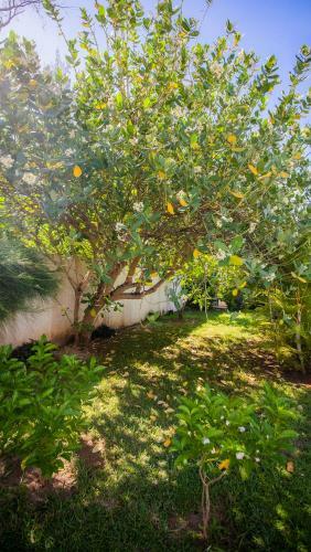 Villa Simone: Sunlit Beach Getaway W/ Pool + Wifi