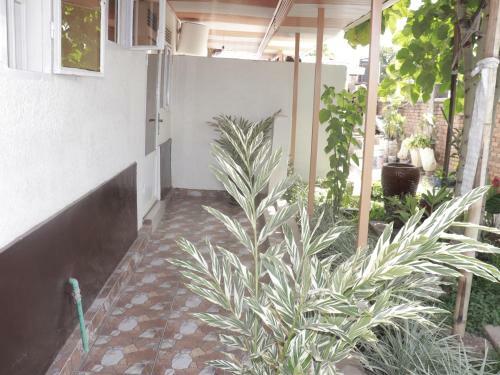 Bed & Breakfast Homely Gaju