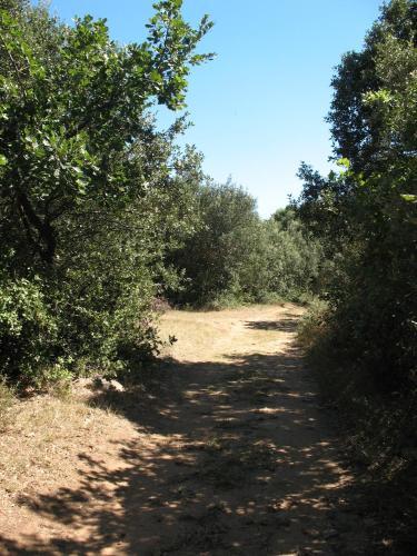 Hostal Esprit Garrigues