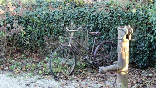 Bed & Breakfast La Jeusseliniere
