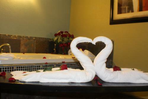 Hotel Regency Inn - Albany