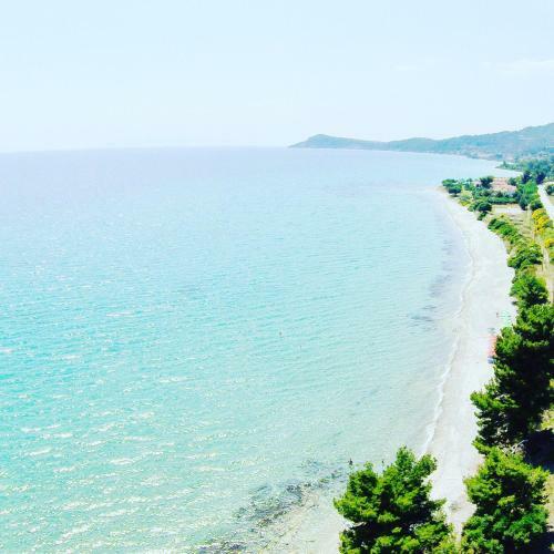 Apartamento Alexandrina