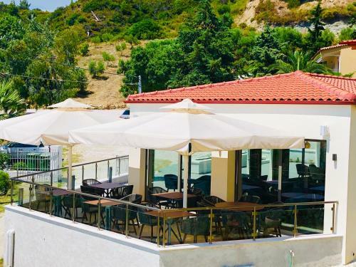 Apartamento Alexandrina