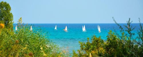 Apartamento Alexandrina