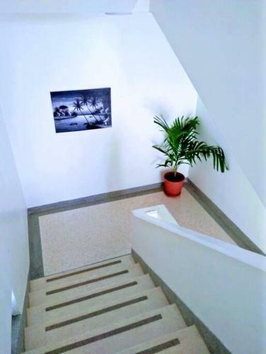 Luxurious 1br Apartment With Pool And Beach Access