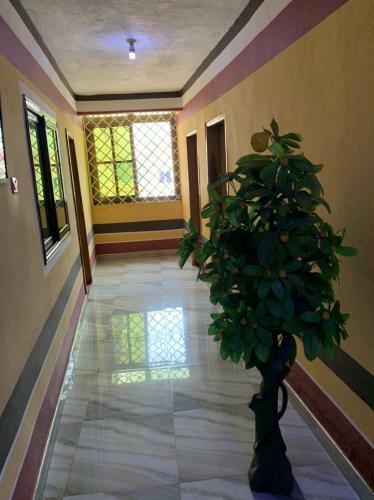 Ahenfie George Hotel