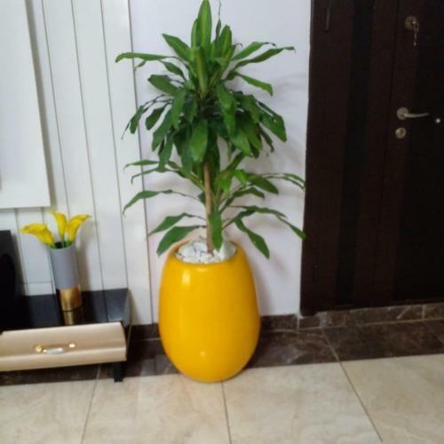 Apartamento 24hrs Power In Gated Community 3 Bedroom Apt