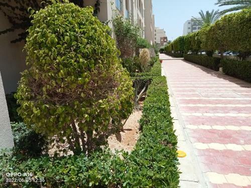Apartamento Appartement Mahdia Palace