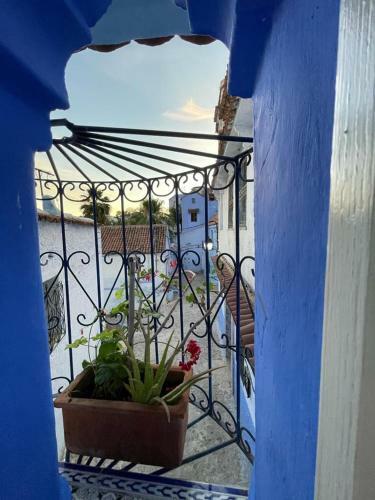 Apartamento Zaki