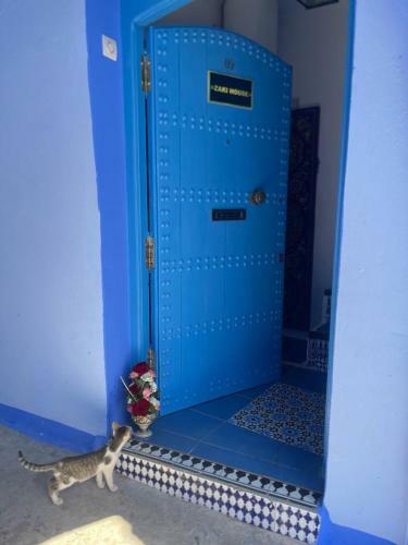 Apartamento Zaki