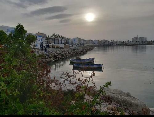 Hostal Albatros 3