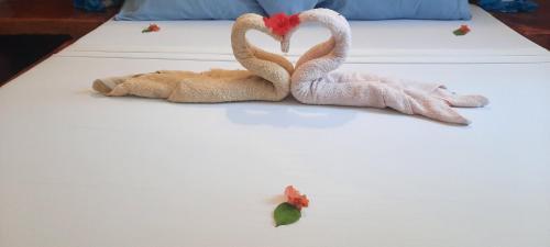 Bed & Breakfast Choni Villas