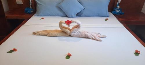 Bed & Breakfast Choni Villas