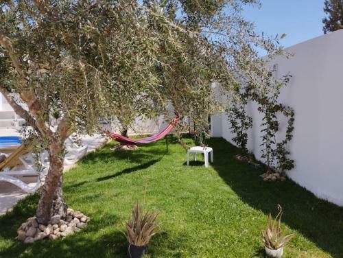 Villa Djerba Piscine Zone Touristique