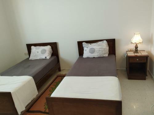 Villa Djerba Piscine Zone Touristique
