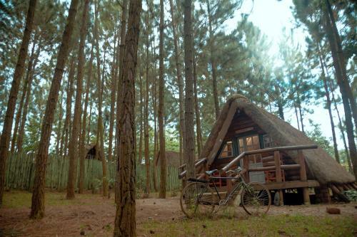 Hotel Nyungu Yamawe Forest Park