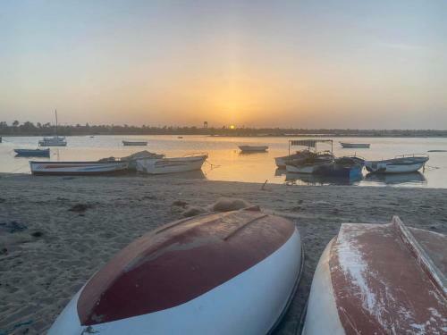 Villa Djerba La Douce