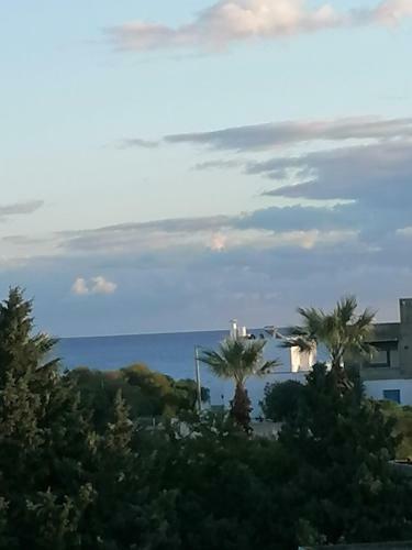 Dar El Marsa