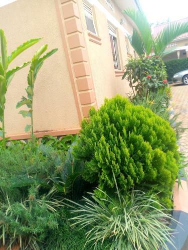 Hostal Lavin Guest House