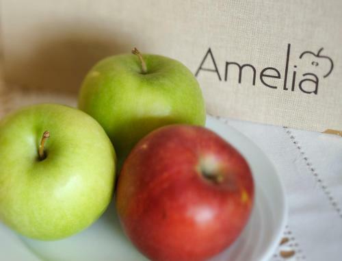 Garni Hotel Amelia