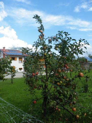 Agroturismo Agriturismo Al Bachero