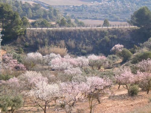 Hotel Can Josep