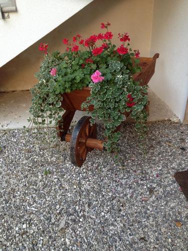 Agroturismo Farmstay Alloggio Cort Di Branc