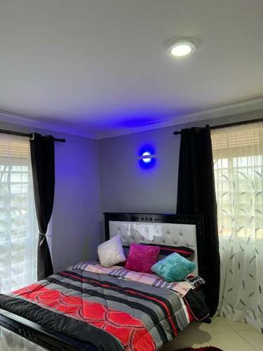 C&a Orchid Apartments