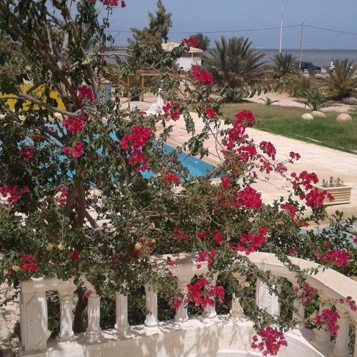 Apartamento Taiba