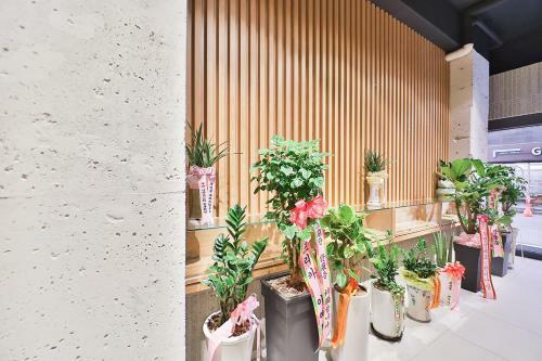 Custom Hotel