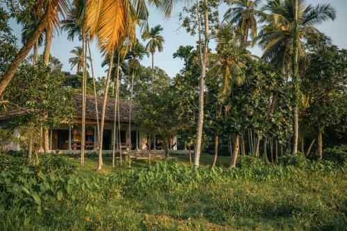 Villa Rice House